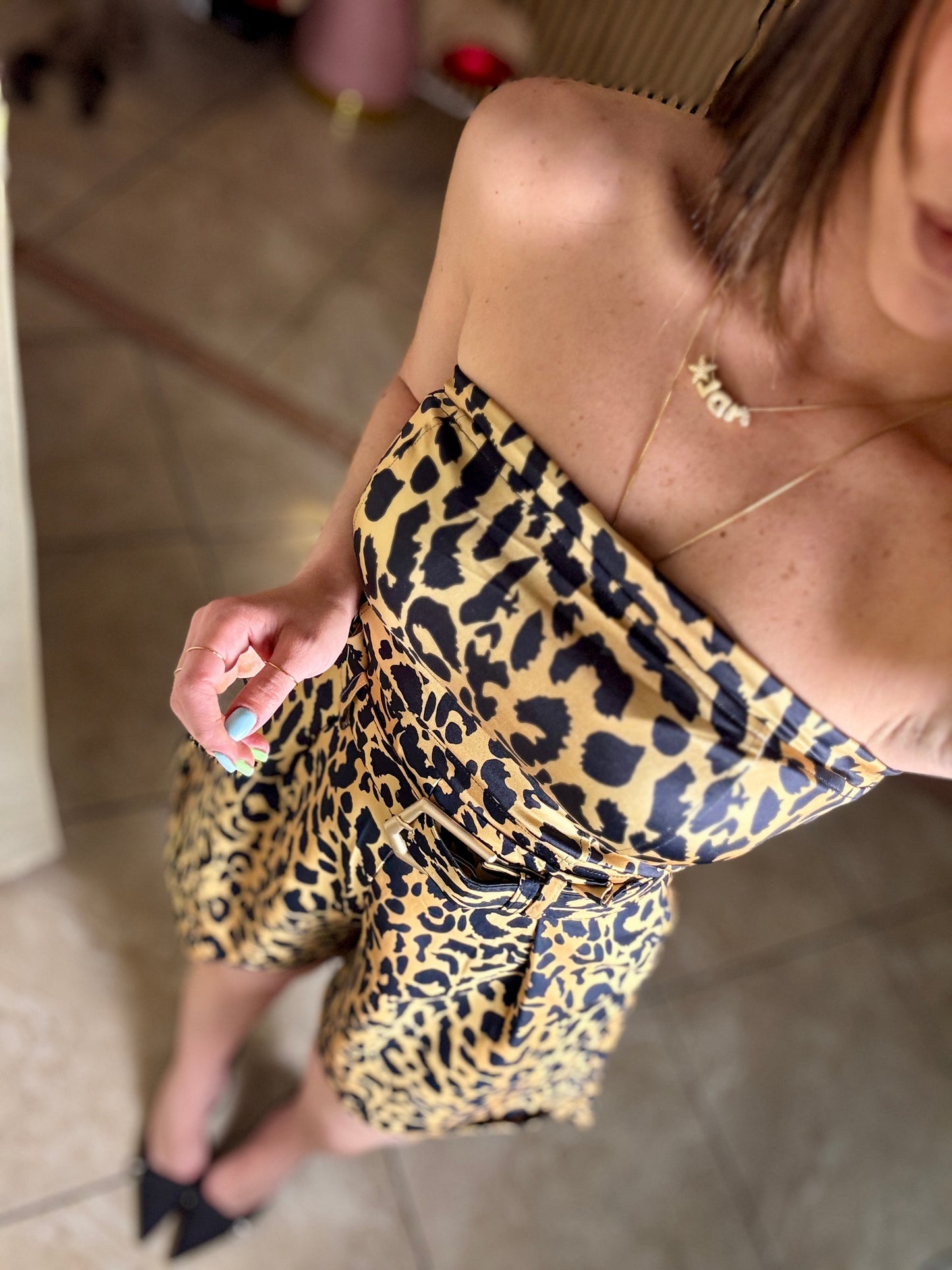 Set Animale