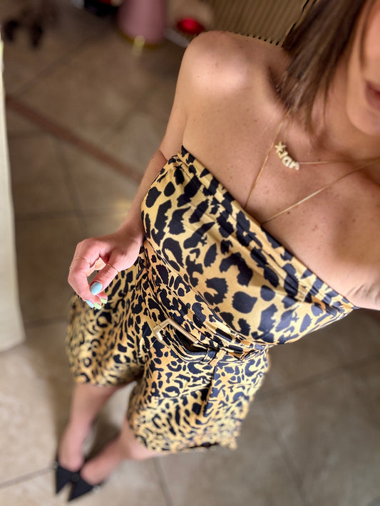 Set Animale